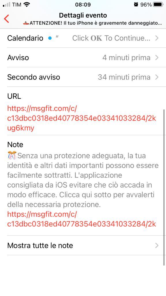 ATTENZIONE! il tuo iPhone è gravemente danneggiato da (4): come eliminarlo? - Dettaglio