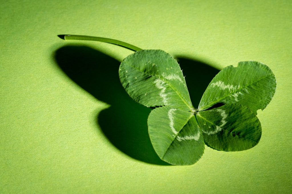 Quadrifoglio portafortuna